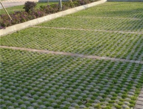 永川生態(tài)植草磚